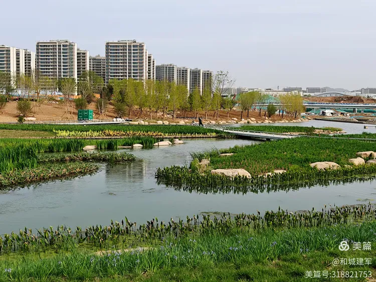 醉美张村河公园